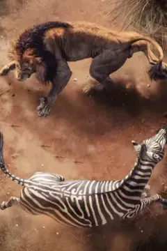 High Definition Nature and History Documentaries